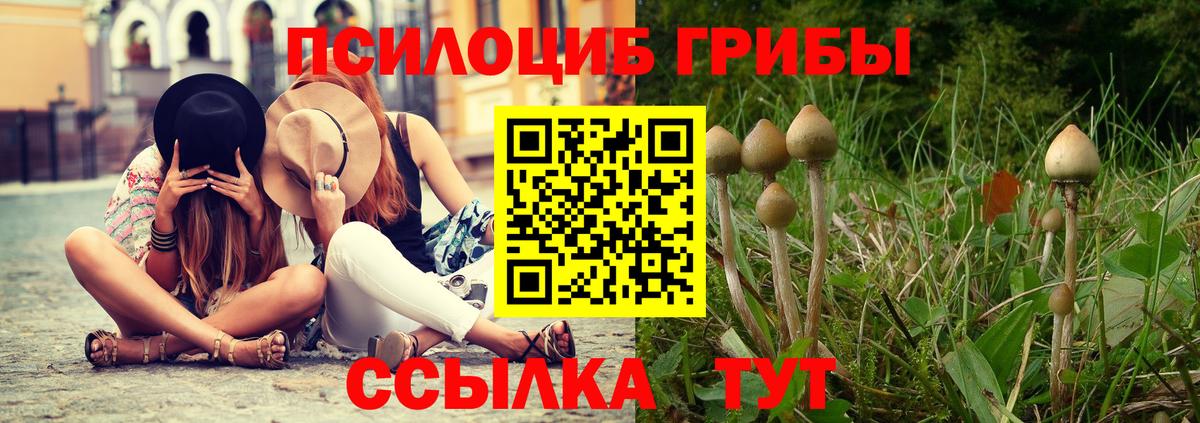 Псилоцибиновые грибы MAGIC MUSHROOMS Когалым
