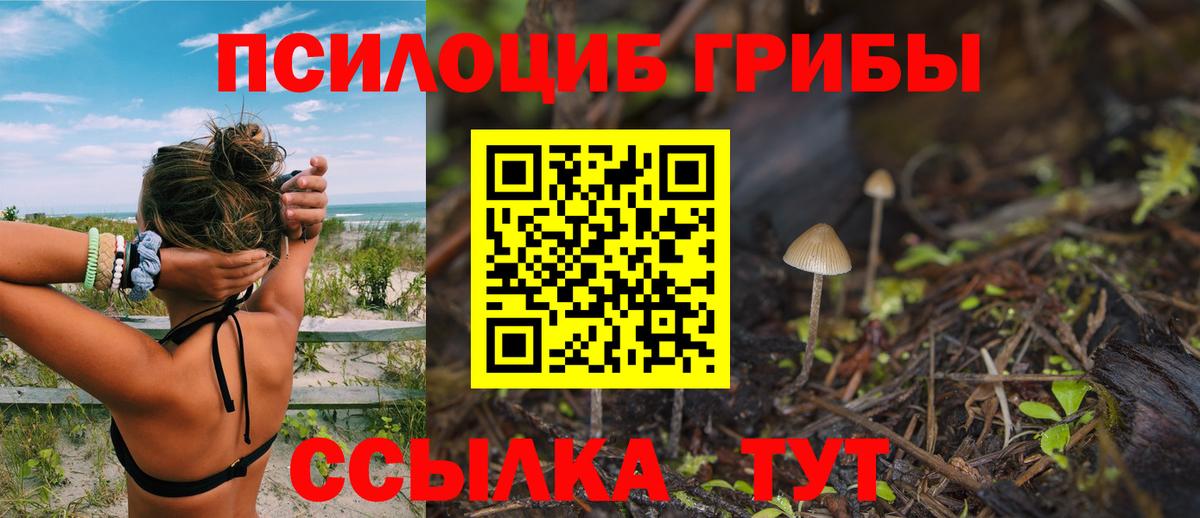Псилоцибиновые грибы мицелий  Вход с VPN  Когалым 
